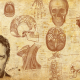 men, artwork, Dr. House, actors, Gregory House, Hugh Laurie, faces, skulls, bones, muscles, brain wallpaper