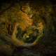 fall, road, autumn, alley, tunnel, nature wallpaper