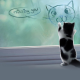 animals, cat, baby animals, kittens, jars, window, digital art wallpaper