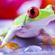 red-eyed tree frog, frog, animals, eyes wallpaper
