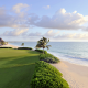 el camaleon, golf course, mayakoba, sea, mexico, palm tree, sand, grass, beach, nature, tropical wallpaper