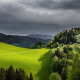 nature, mountains, forest, field, gray sky wallpaper