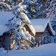 winter, snow, seasons, hut, tree, alaska, usa, nature, pile of snow in alaska wallpaper