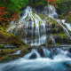 panther creek falls, gifford pinchot national forest, forest, tree, waterfall, nature wallpaper