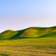 rolling hills, california, usa, nature, hill, grass wallpaper