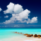 pelican beach, florida, ocean, sea, tropical, beach, clouds, nature, landscape wallpaper
