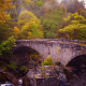 scotland, nature, landscape, stone bridge, river, forest wallpaper