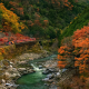 train, nature, landscape, trees, forest, branch, leaves, colorful, fall, rock, stones, river, stream wallpaper