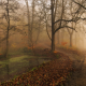 nature, landscape, morning, fall, mist, park, trees, path, leaves, ponds, water wallpaper