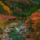 sagano scenic railway, arashiyama, kyoto, japan, nature, train, river, mountains, forest, fall, canyon, autumn wallpaper