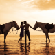 couple, horse, sunset, kiss, love, sea, beach, animals wallpaper