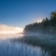 landscape, nature, lake, mist, sunrise, forest, water, reeds, trees, Russia wallpaper