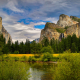 yosemite national park, usa, forest, river, mountains, nature wallpaper