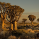 Namibia, Africa, nature, landscape wallpaper