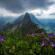 swiss alpstein, switzerland, alps, mountains, peak, clouds, nature, wild flowers wallpaper