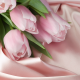 silk, pink, bouquet, tulips, flowers wallpaper