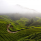 cameron highlands, malaysia, fog, hills, mountains, grass, nature wallpaper