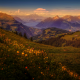 mountains, meadow, landscape, switzerland, grass, nature wallpaper