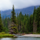 forest, spruce, nature, mountains, river, canada wallpaper