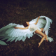 angel, photo, creative, women, legs wallpaper