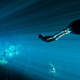 freediving, photo, underwater, diving, ocean, diving suit wallpaper