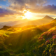 rhododendron, flowers, nature, mountains, sunset, clouds wallpaper