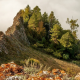 mountains, spruce, torgashinsky ridge, krasnoyarsk krai, russia, nature wallpaper