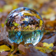 ball, glass, sphere, fall, foliage, autumn, nature wallpaper