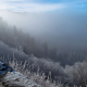 winter, frost, slope, fog, forest, tree, nature, fog, mountains wallpaper