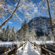 yosemite national park, california, winter, snow, tree, bridge, river, usa, nature wallpaper