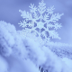 snowflake, frost, macro photo, nature, snow, winter wallpaper