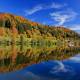 reflection, germany, tree, leave, lake, sky, bavaria, autumn, forest wallpaper