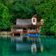 leaves, reflection, greenery, tree, house, island, water, jamaicam lake, nature wallpaper
