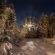 moon, forest, pine trees, snow, night, lunar halo, winter, nature wallpaper