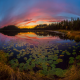 autumn, lake, water lily, sunset, twilight, grass, forest, nature wallpaper