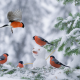 birds, bullfinch, winter, tree, snow, snowman, animals wallpaper