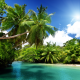 nature, summer, beautiful, palm trees, tropics, seychelles, palm, sea wallpaper