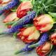 flowers, tulips, lupins, nature, bouqet wallpaper