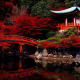 japanese garden, temple, lake, garden, pond, japan, autumn wallpaper