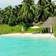 maldives, resort, ocean, beach, nature, palm, tropics wallpaper
