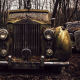 rolls-royce, cars, retro car, rusty car, forest wallpaper