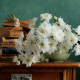 still-life, table, book, vase, flowers, chrysanthemum, nature wallpaper