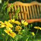 rudbeckia, flowers, park, drops, summer, rain, bench wallpaper