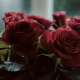 red flowers, rose, flowers, red roses, bouquet wallpaper