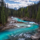 yoho national park, rocky mountains, canada, mountain river, canada, forest, river, tree, nature wallpaper