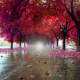 wet, autumn, leaf, tree, park, pink leaves, nature wallpaper