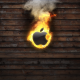 apple, fire, logo, graphics wallpaper