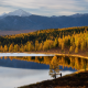 altai, mountains, autumn, lake, nature, forest wallpaper