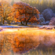 autumn, river, november, tree, hoarfrost, nature, morning, frost, reflection wallpaper