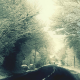 winter, nature, road, snow, alley wallpaper